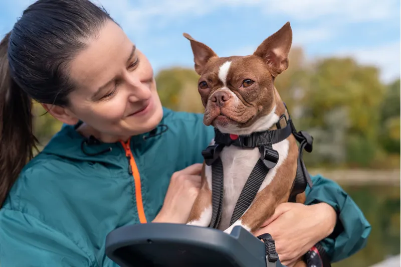 Buddy rider top dog